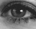Farbe